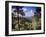 Troodos Mountains, Cyprus-Rex Butcher-Framed Photographic Print