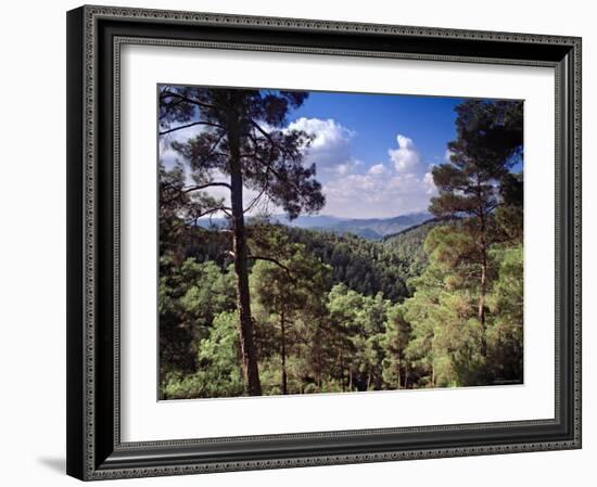 Troodos Mountains, Cyprus-Rex Butcher-Framed Photographic Print
