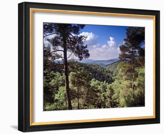 Troodos Mountains, Cyprus-Rex Butcher-Framed Photographic Print