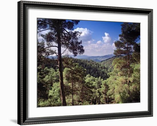 Troodos Mountains, Cyprus-Rex Butcher-Framed Photographic Print