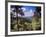 Troodos Mountains, Cyprus-Rex Butcher-Framed Photographic Print