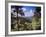 Troodos Mountains, Cyprus-Rex Butcher-Framed Photographic Print