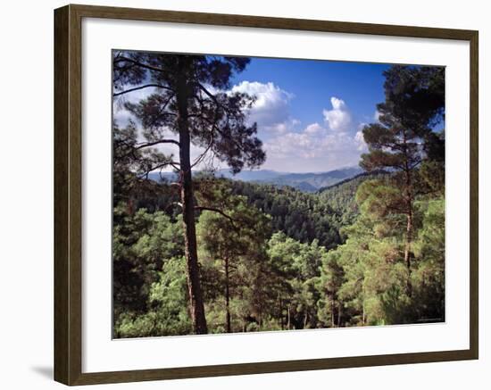 Troodos Mountains, Cyprus-Rex Butcher-Framed Photographic Print