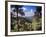 Troodos Mountains, Cyprus-Rex Butcher-Framed Photographic Print