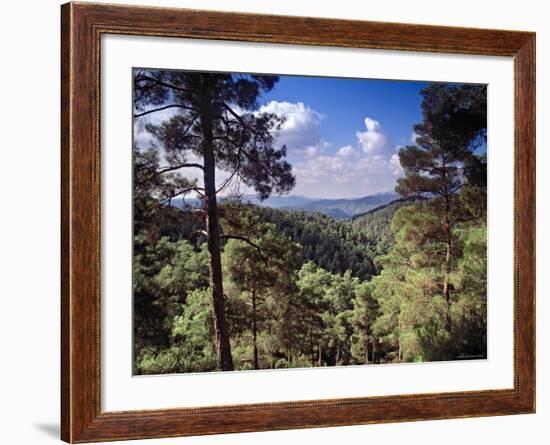 Troodos Mountains, Cyprus-Rex Butcher-Framed Photographic Print