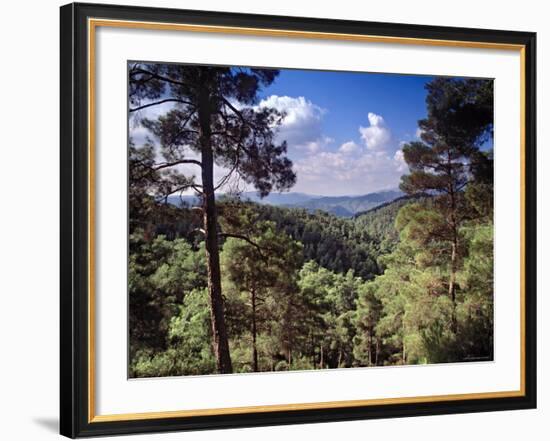 Troodos Mountains, Cyprus-Rex Butcher-Framed Photographic Print