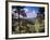 Troodos Mountains, Cyprus-Rex Butcher-Framed Photographic Print