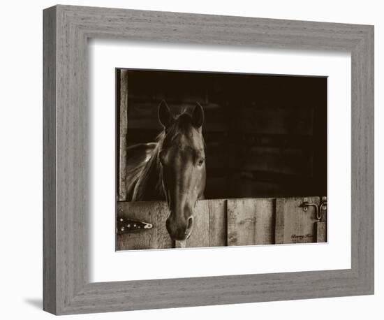 Trooper-Barry Hart-Framed Art Print