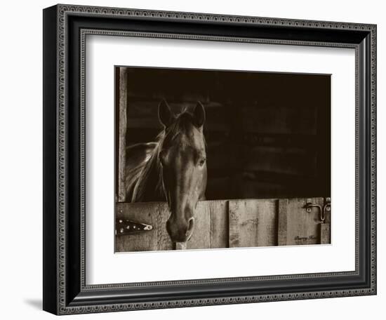 Trooper-Barry Hart-Framed Art Print