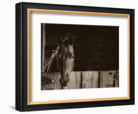 Trooper-Barry Hart-Framed Art Print