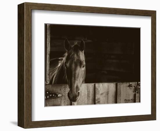 Trooper-Barry Hart-Framed Art Print