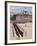 Trooping the Colour, Horseguards Parade, London, England, United Kingdom-Hans Peter Merten-Framed Photographic Print