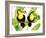 Tropcial Toucan Pair-Mary Escobedo-Framed Art Print