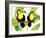 Tropcial Toucan Pair-Mary Escobedo-Framed Art Print