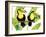 Tropcial Toucan Pair-Mary Escobedo-Framed Art Print