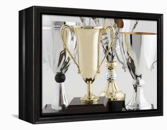 Trophies-Tom Grill-Framed Premier Image Canvas