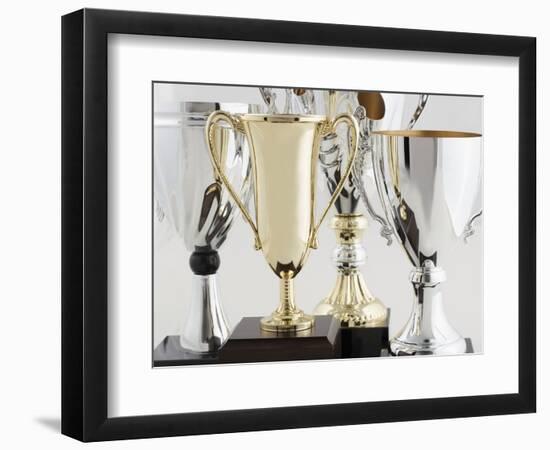 Trophies-Tom Grill-Framed Photographic Print