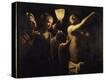 Stretched Canvas Print