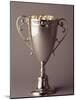 Trophy Cup-Paul Sutton-Mounted Photographic Print