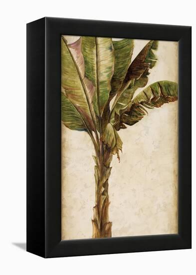 Tropic Banana I-Patricia Pinto-Framed Stretched Canvas