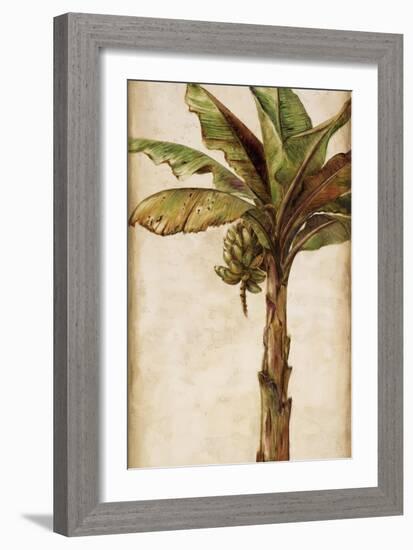 Tropic Banana II-Patricia Pinto-Framed Art Print