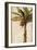 Tropic Banana II-Patricia Pinto-Framed Art Print