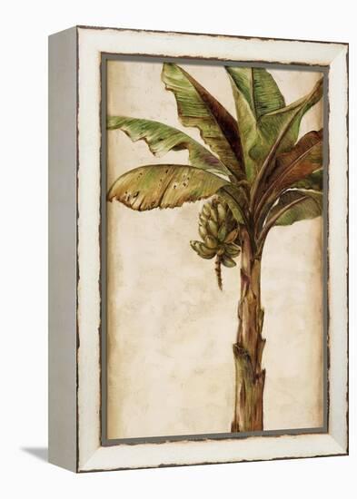 Tropic Banana II-Patricia Pinto-Framed Stretched Canvas