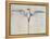 Tropic Bird-John White-Framed Premier Image Canvas