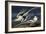 Tropic Bird-John James Audubon-Framed Art Print