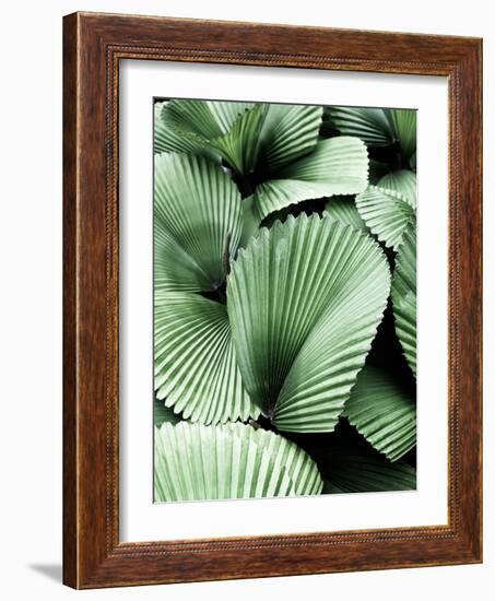 Tropic Family-SOIL-Framed Photographic Print