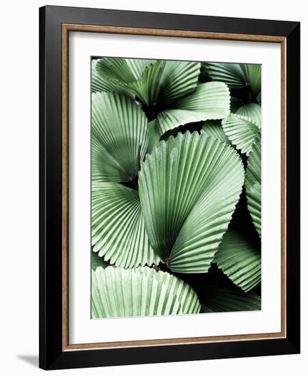 Tropic Family-SOIL-Framed Photographic Print