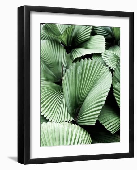 Tropic Family-SOIL-Framed Photographic Print