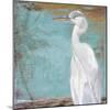 Tropic Heron II-Patricia Pinto-Mounted Art Print