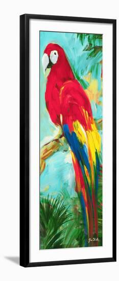 Tropic Parrots I-Jane Slivka-Framed Art Print