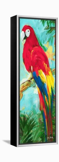 Tropic Parrots I-Jane Slivka-Framed Stretched Canvas