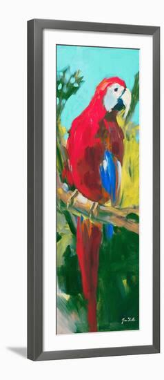 Tropic Parrots II-Jane Slivka-Framed Art Print