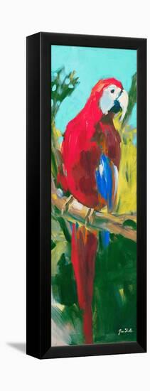 Tropic Parrots II-Jane Slivka-Framed Stretched Canvas