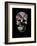 Tropic Skull-Design Fabrikken-Framed Art Print