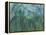 Tropic Storm-Roberto Gonzalez-Framed Stretched Canvas