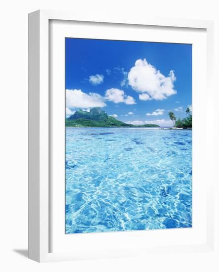 Tropic Waters-null-Framed Photographic Print