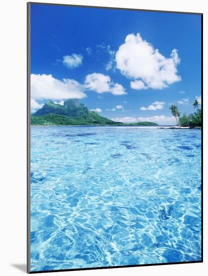 Tropic Waters-null-Mounted Photographic Print