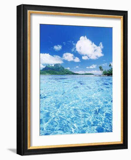 Tropic Waters-null-Framed Photographic Print