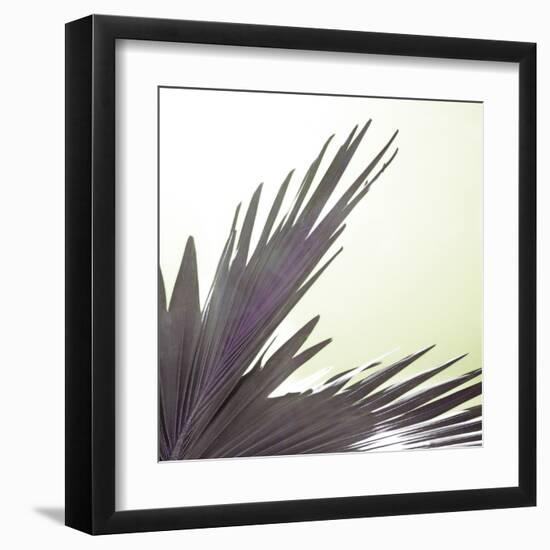 Tropica Avalon-Malcolm Sanders-Framed Giclee Print