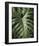 Tropica I-Boyce Watt-Framed Giclee Print