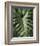 Tropica I-Boyce Watt-Framed Giclee Print