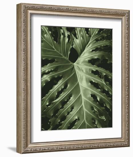 Tropica I-Boyce Watt-Framed Giclee Print