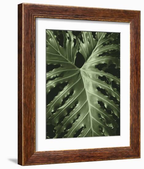 Tropica I-Boyce Watt-Framed Giclee Print