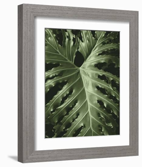 Tropica I-Boyce Watt-Framed Giclee Print