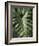 Tropica I-Boyce Watt-Framed Giclee Print