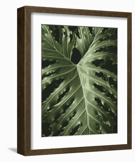 Tropica I-Boyce Watt-Framed Giclee Print